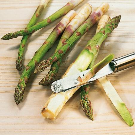 Penne mit Spargelsauce Penne mit Spargelsauce