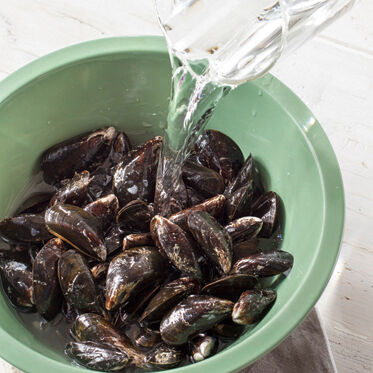 Miesmuscheln in Weißwein Miesmuscheln in Weißwein