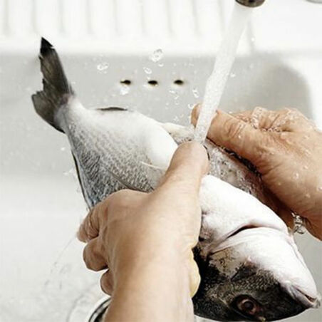 Kräuterdoraden mit Bohnen und Salzkartoffeln Kräuterdoraden mit Bohnen und Salzkartoffeln