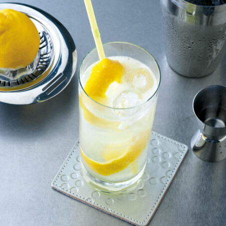 Schnell geschüttelt: Gin Fizz Schnell geschüttelt: Gin Fizz