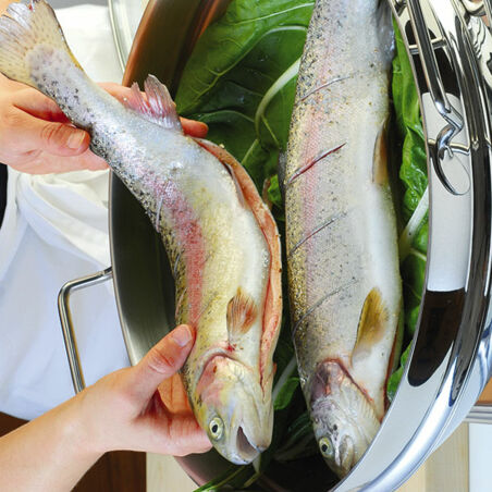 Gedämpfte Lachsforelle mit Ingwer und Mangold Gedämpfte Lachsforelle mit Ingwer und Mangold