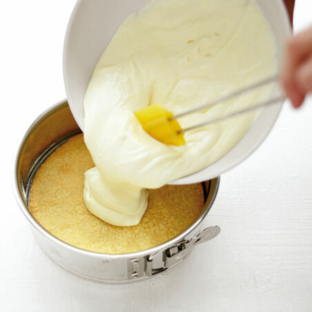 Käsesahnetorte mit Aprikosen-Kompott Käsesahnetorte mit Aprikosen-Kompott