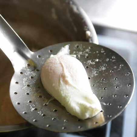 Friséesalat mit Tiroler Speck und pochiertem Ei Friséesalat mit Tiroler Speck und pochiertem Ei