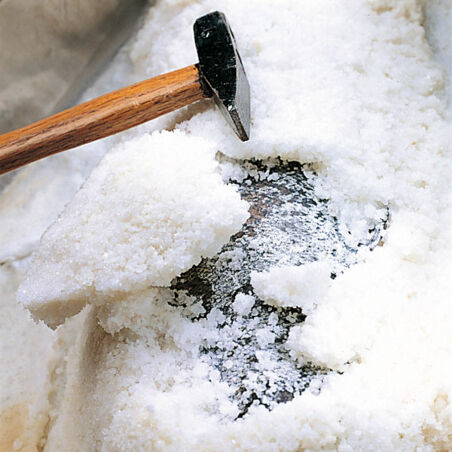 Ganzer Fisch im Salzmantel Ganzer Fisch im Salzmantel