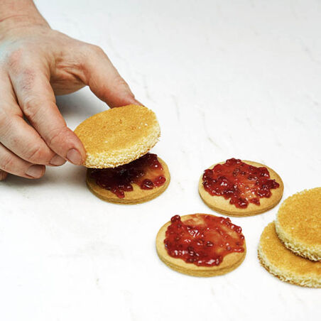 Quark-Törtchen mit Himbeeren Quark-Törtchen mit Himbeeren