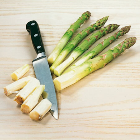 Penne mit Spargelsauce Penne mit Spargelsauce