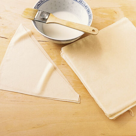 Frühlingsrollen mit Gemüsefüllung Frühlingsrollen mit Gemüsefüllung