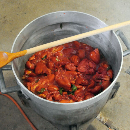 Tomatenpüree von Carlo und Delfi Tomatenpüree von Carlo und Delfi