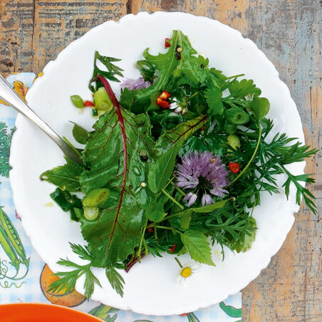 Querbeetsalat Querbeetsalat