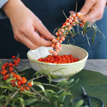 Joghurt-Mousse mit Sanddorn Joghurt-Mousse mit Sanddorn
