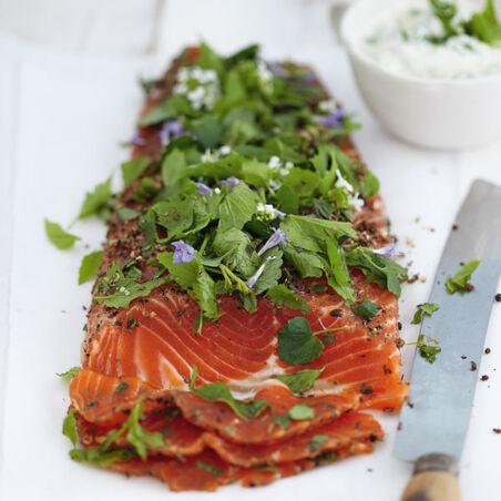 Gebeizte Kräuterforelle Gebeizte Kräuterforelle