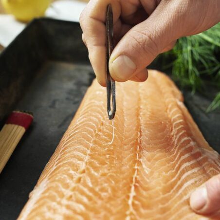 Selbst gebeizter Lachs mit Dill und Gewürzen Selbst gebeizter Lachs mit Dill und Gewürzen