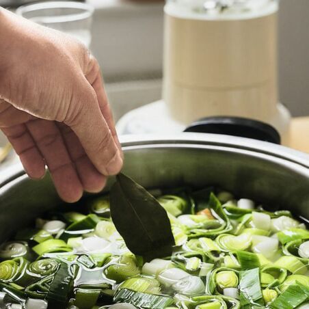 Zarte Hechtklößchen in Dillsauce Zarte Hechtklößchen in Dillsauce