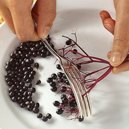 Holunderbeeren-Gelee Holunderbeeren-Gelee