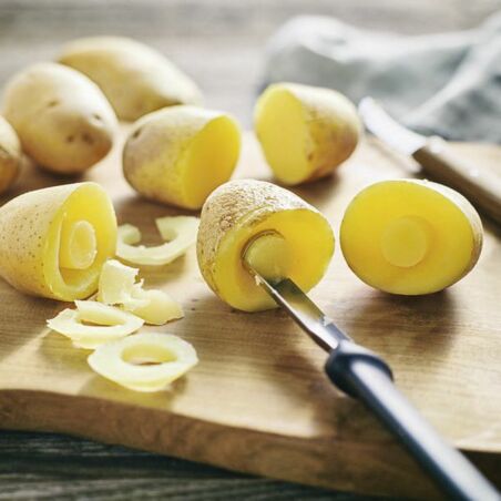 Kartoffelpilze mit Paprika und Champignons Kartoffelpilze mit Paprika und Champignons