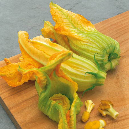 Gefüllte Zucchini-Blüten Gefüllte Zucchini-Blüten