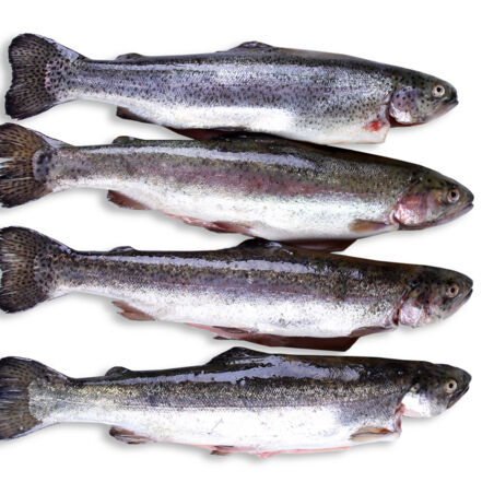 zutaten_mandelforellen zutaten_mandelforellen