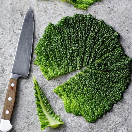 Wirsing-Päckchen mit Tomatensugo Wirsing-Päckchen mit Tomatensugo