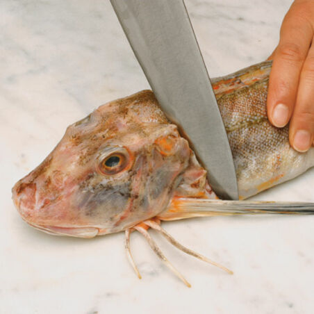 Fischeintopf aus Livorno Fischeintopf aus Livorno