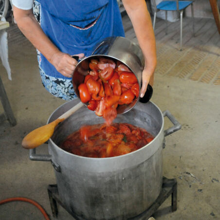 Tomatenpüree von Carlo und Delfi Tomatenpüree von Carlo und Delfi