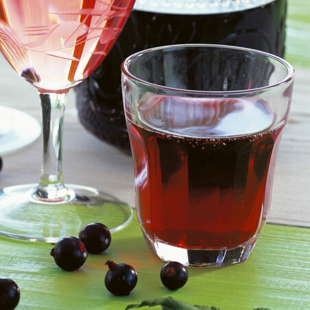 Johannisbeer-Sirup Johannisbeer-Sirup