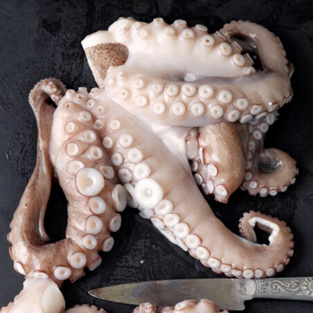 Gebratener Oktopus mit Sommerkartoffelsalat Gebratener Oktopus mit Sommerkartoffelsalat