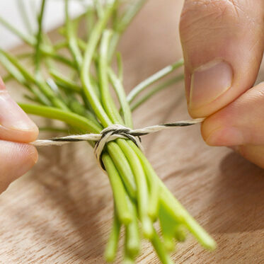 Miesmuscheln in Weißwein Miesmuscheln in Weißwein