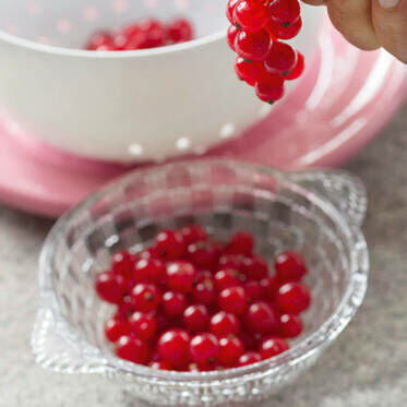 Rote Grütze mit Sauerkirschen Rote Grütze mit Sauerkirschen