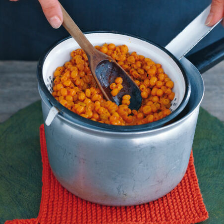 Joghurt-Mousse mit Sanddorn Joghurt-Mousse mit Sanddorn