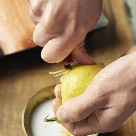 Selbst gebeizter Lachs mit Dill und Gewürzen Selbst gebeizter Lachs mit Dill und Gewürzen