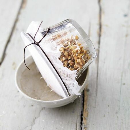 Avocado mit Zucchini-Chili-Tatar Avocado mit Zucchini-Chili-Tatar