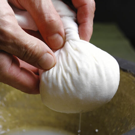 Frischkäse in Spinatsauce Frischkäse in Spinatsauce