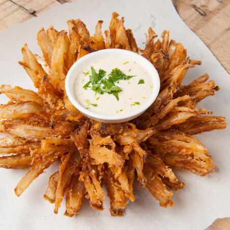 Zwiebelblume Zwiebelblume