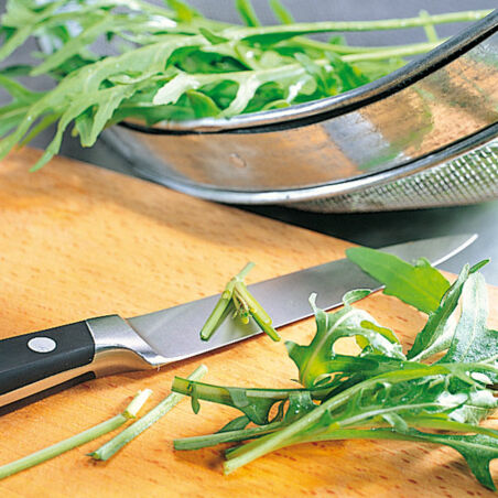 Rucolasalat Rucolasalat