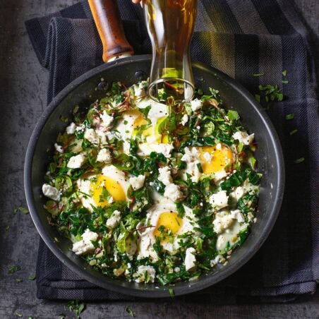 Blutampfer-
Schakschuka Blutampfer-
Schakschuka