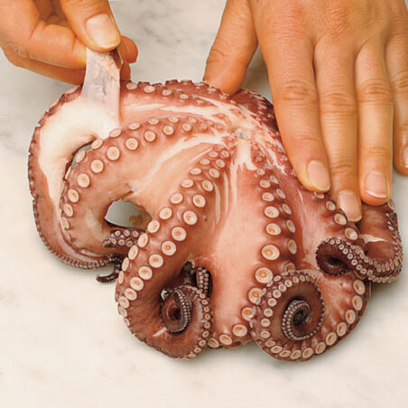 Lasagne mit Garnelen und Oktopus Lasagne mit Garnelen und Oktopus