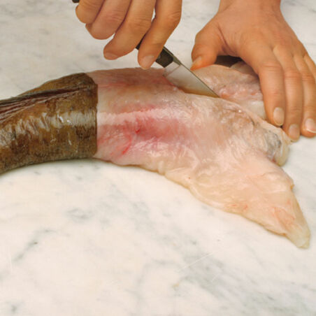 Fischeintopf aus Livorno Fischeintopf aus Livorno