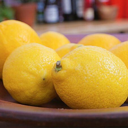 Rosenkohl mit Zitronensahne Rosenkohl mit Zitronensahne