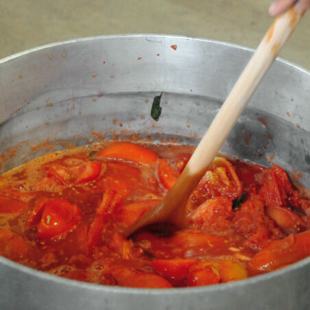 Tomatenpüree von Carlo und Delfi Tomatenpüree von Carlo und Delfi