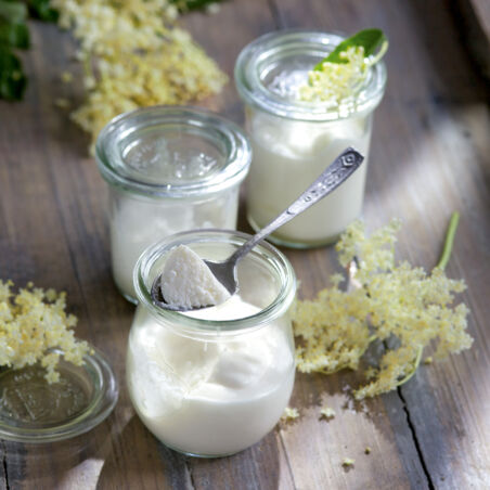 Holunderblütenmousse Holunderblütenmousse