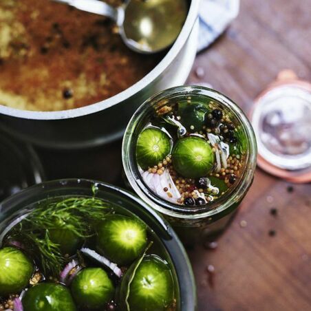 Gewürzgurken Gewürzgurken