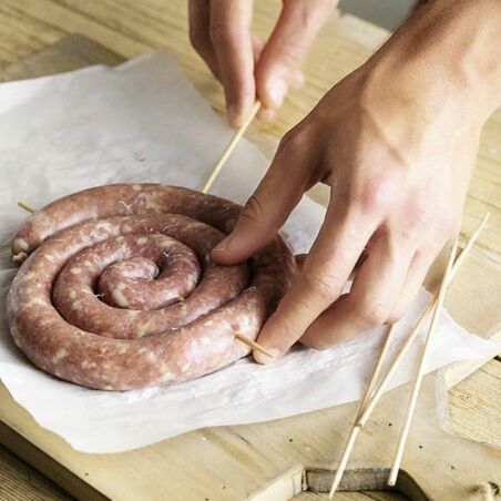 Südafrikanische Bratwurstschnecke Südafrikanische Bratwurstschnecke