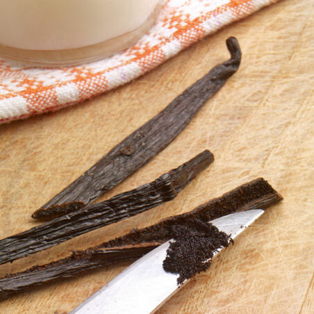 Schokoladenpudding mit Vanillesauce Schokoladenpudding mit Vanillesauce