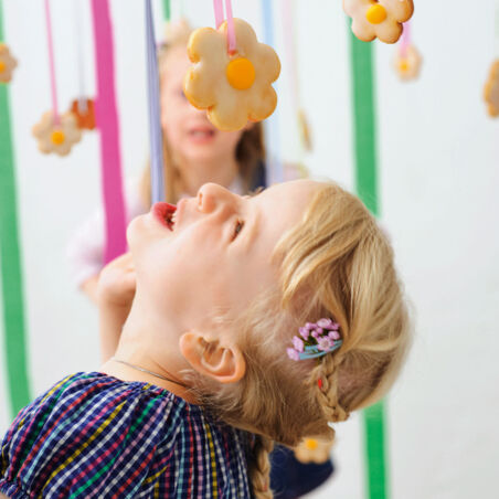 Gänseblümchen-Kekse Gänseblümchen-Kekse