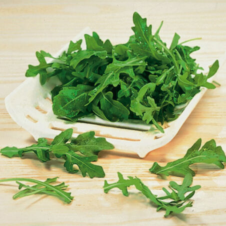 Spaghetti mit Fisch und Rucola Spaghetti mit Fisch und Rucola