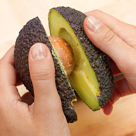 Avocado-Sellerie-Salat Avocado-Sellerie-Salat