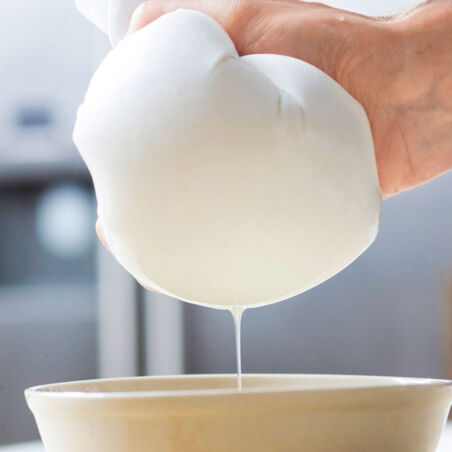 Marillenknödel Marillenknödel