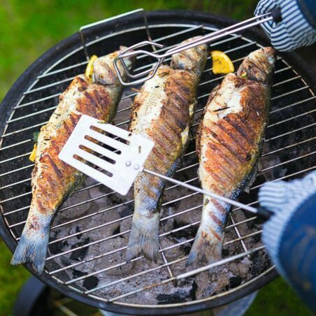 Wolfsbarsch mit Fenchel Wolfsbarsch mit Fenchel