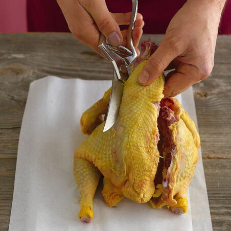 Zitronenhuhn mit Thymian Zitronenhuhn mit Thymian