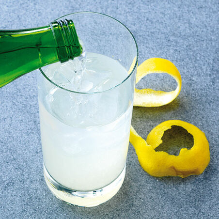 Schnell geschüttelt: Gin Fizz Schnell geschüttelt: Gin Fizz